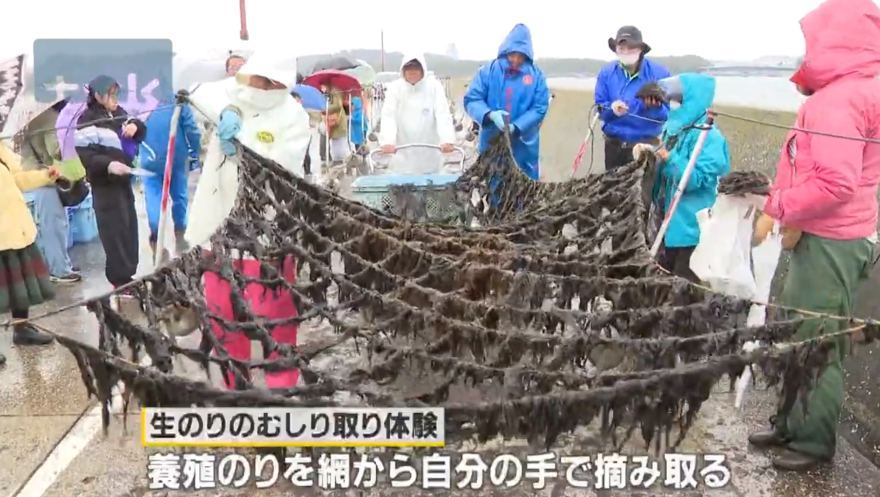【ニュース】横浜・金沢漁港で「海産物フェスタ」　5年ぶり開催